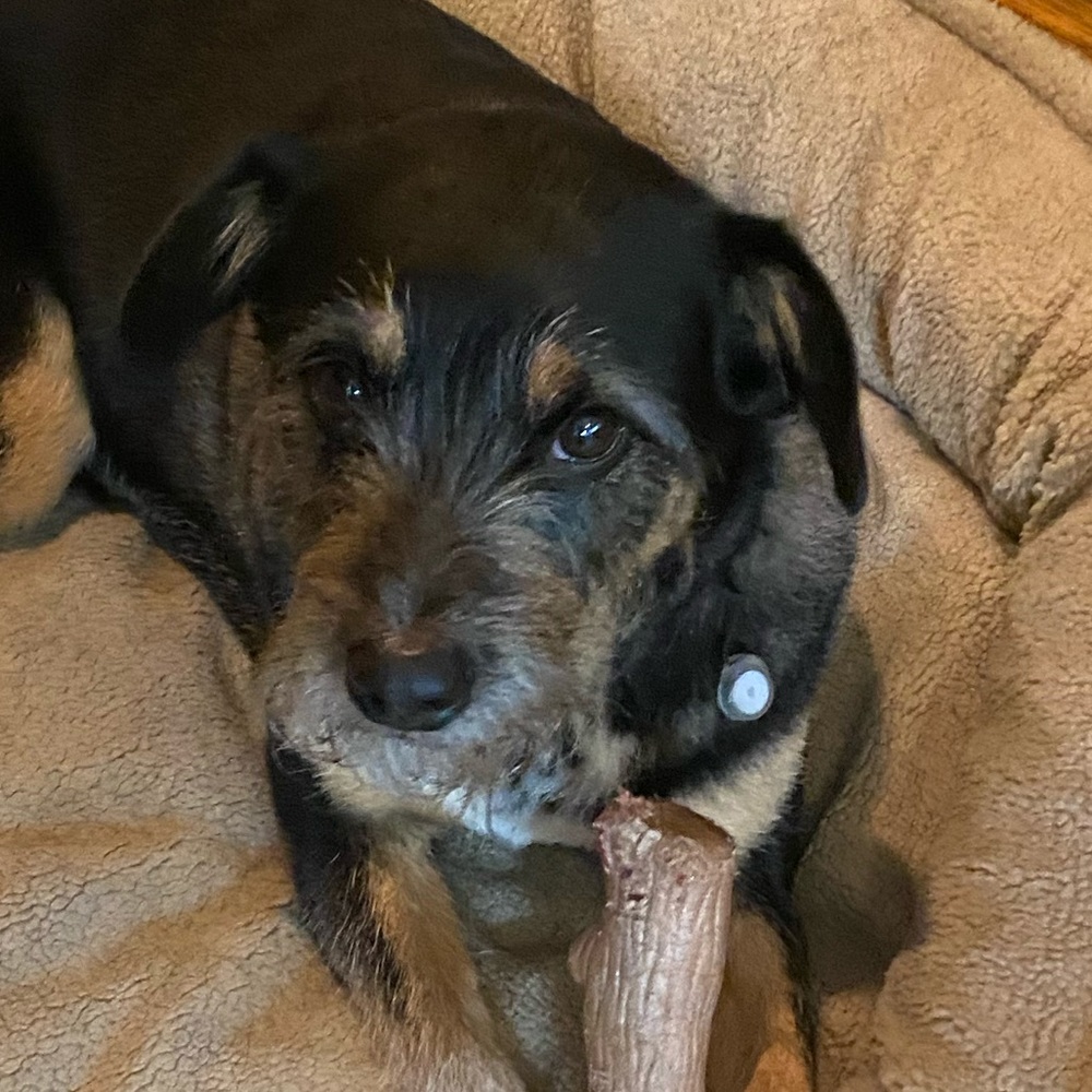 Meet your Posher, Meghan